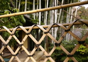 Japanese Bamboo Fence