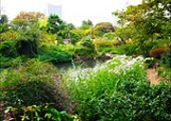 Mukojima Hyakkaen Japanese garden in Tokyo