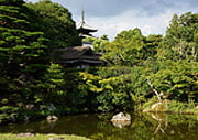 Ninna-ji Japanese temple garden in Kyoto