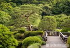 Famous Gardens in Tokyo