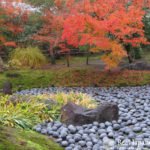 Stone Setting Arrangement in the Japanese Garden