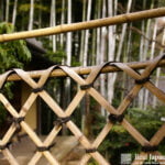 Bamboo Fences I