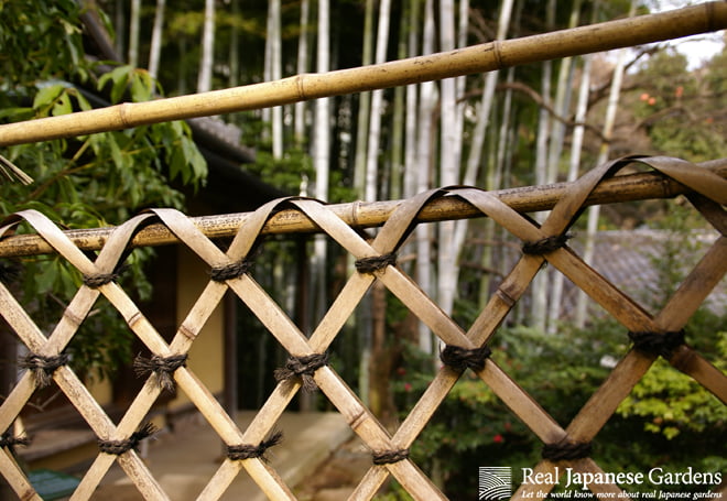 Bamboo fencing -  France