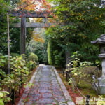 Japanese Garden Paths