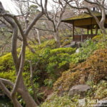 Happoen garden in Tokyo by Real Japanese Gardens