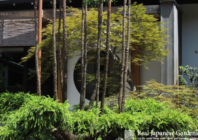 Hasedera temple in Kamakura by Real Japanese Gardens