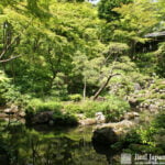 Tonogayato Japanese Garden by Real Japanese Gardens