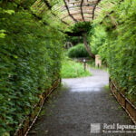 Mukojima Hyakkaen by Real Japanese Gardens