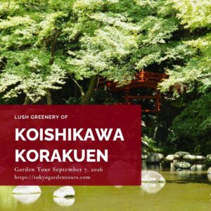 Shop - Real Japanese Gardens