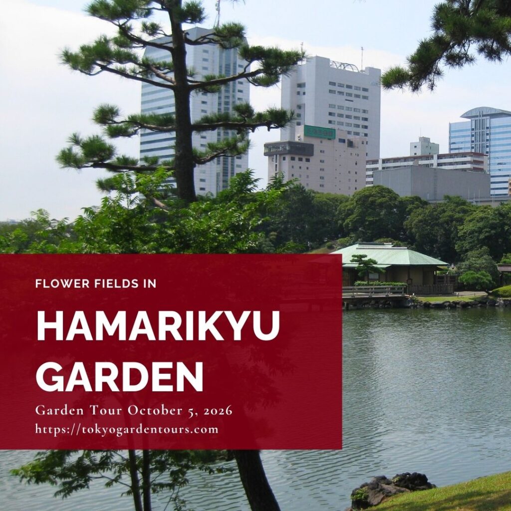 Tokyo Garden Tours Public Tour in Hamarikyu Garden on October 5