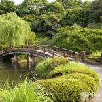 Shinjuku Gyoen by Real Japanese Gardens