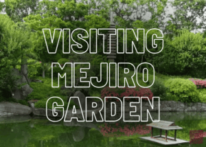 Blog Thumbnail Visiting Mejiro Garden by Real Japanese Gardens